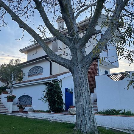 Il Giardino Degli Ulivi Villa Чита' Сант'Анджело Екстериор снимка