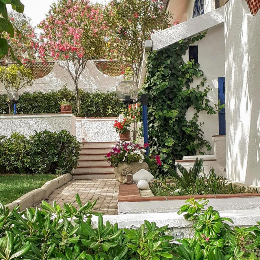 Il Giardino Degli Ulivi Villa Чита' Сант'Анджело Екстериор снимка
