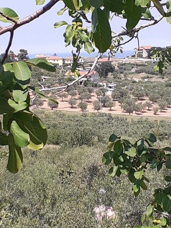 Il Giardino Degli Ulivi Villa Чита' Сант'Анджело Екстериор снимка