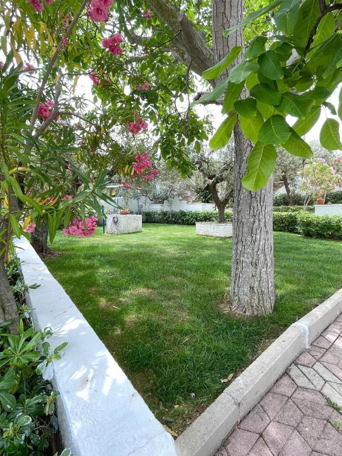 Il Giardino Degli Ulivi Villa Чита' Сант'Анджело Екстериор снимка