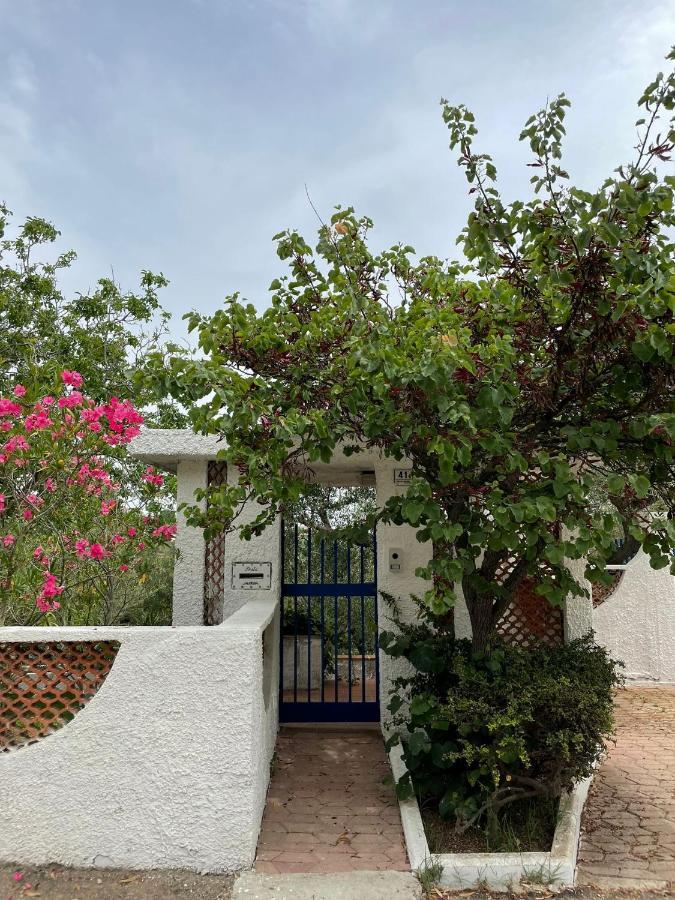 Il Giardino Degli Ulivi Villa Чита' Сант'Анджело Екстериор снимка