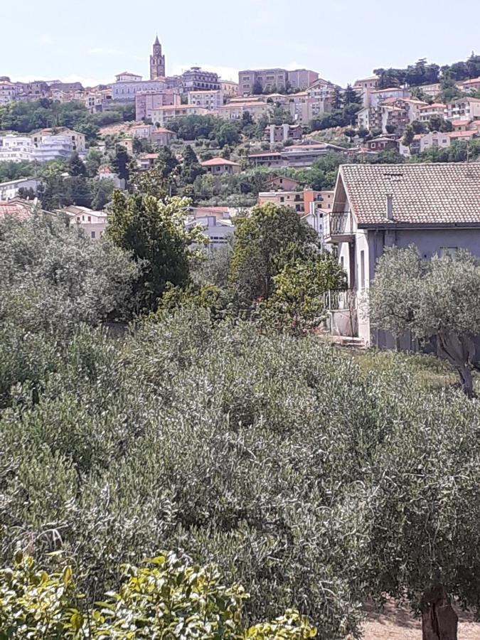 Il Giardino Degli Ulivi Villa Чита' Сант'Анджело Екстериор снимка